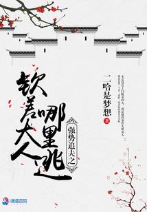 奎斯托之幻