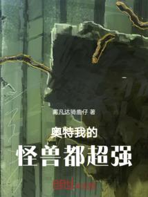 神奇宝贝之绯色夜