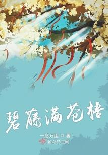 十七岁的伊始