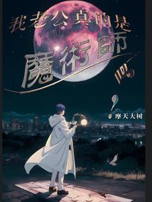 总裁的孪生妻