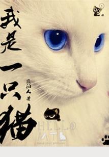 窗外起风了