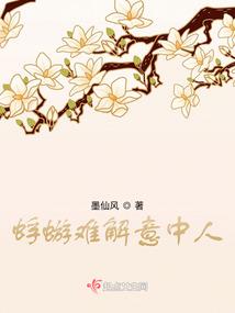 半步时光