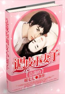 穿越重生之九皇妃传奇