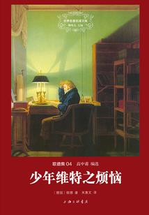 镜缘之紫魈传