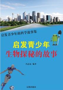 你没有爱过我