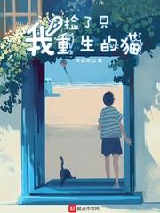 白夜羽皇