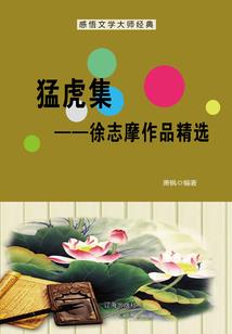 酷酷夜少是女生