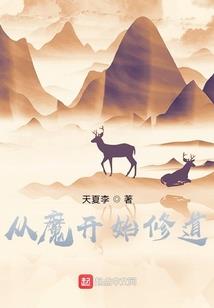 追风月