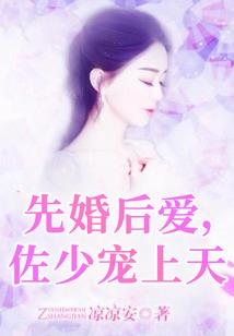我的高手生涯