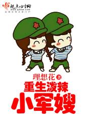 幻想战记Y：月遗迹之光