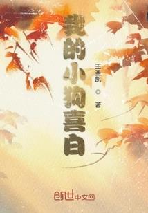 穿越海贼之赏金猎人