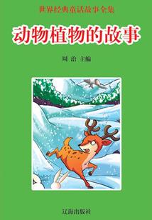 时空重宝