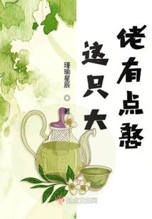 从铠武开始的假面骑士之旅