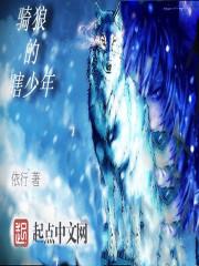 我的锅是异世门
