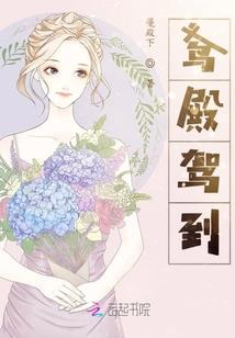 小透明吃瓜记