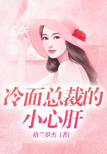 钢翼传说