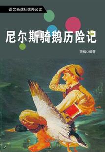 我的单车恋人