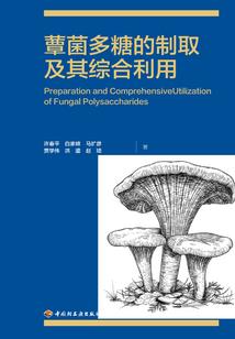来自阴间的阴阳师