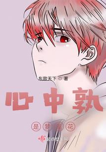 弧光之境