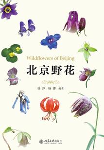 专治贩剑，玄学大佬她杀疯了