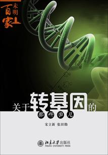 诸天我是圣主