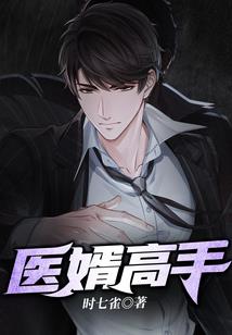 盗家往事