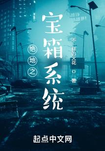 九转金丹修炼者