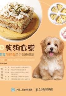 生命奇迹之水舞风暴