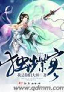 羽化飞仙传
