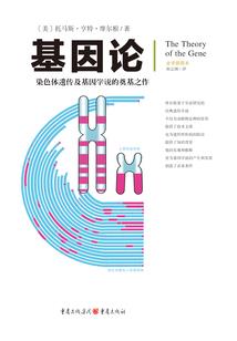 墨冥倾雪