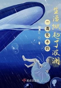 贤者之石炼成阵