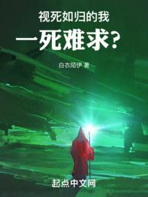 混沌骑士寻风传