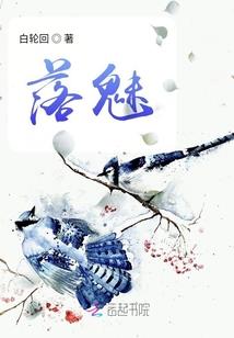 武道世界取取经