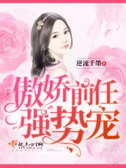 枫遗之始