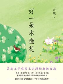 军少追妻中，请勿打扰