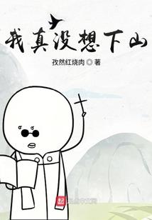 我当杀手的那些破事