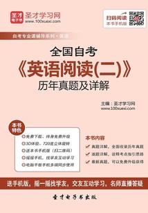 精灵之最强飞行系训练家