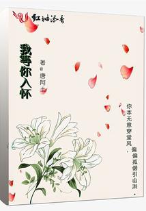 再次遇上你