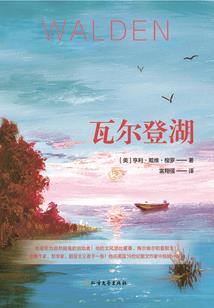 三公主的绝世薰衣草之恋