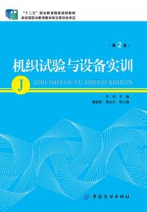星光之城