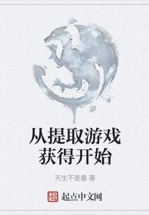 精灵宝可梦之星夜之辉
