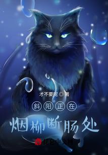 琴操