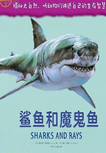 长安寒师