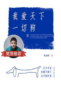 王者荣耀之高手如云