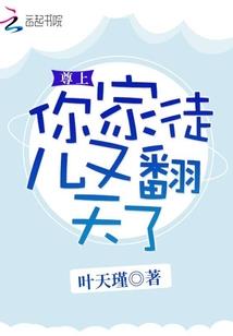 天地劫之斗转星移