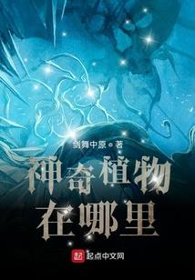 我，魔教教主，开局镇压圣女