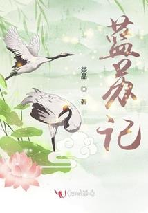 星月外传之茹霜飞雪