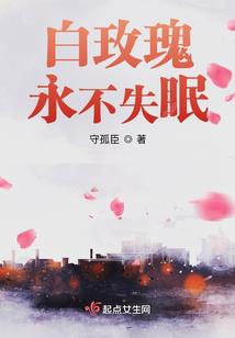 我的单身日记