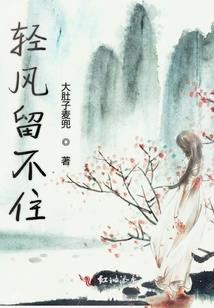 求道者的旅途