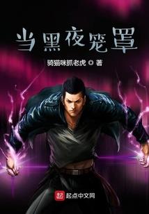 Alita天使十字军